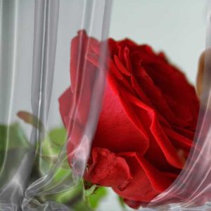 Liebe-und-Sexualität