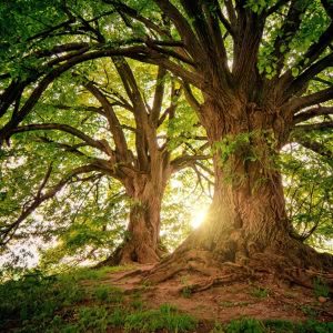 Stationen-des-Lebens